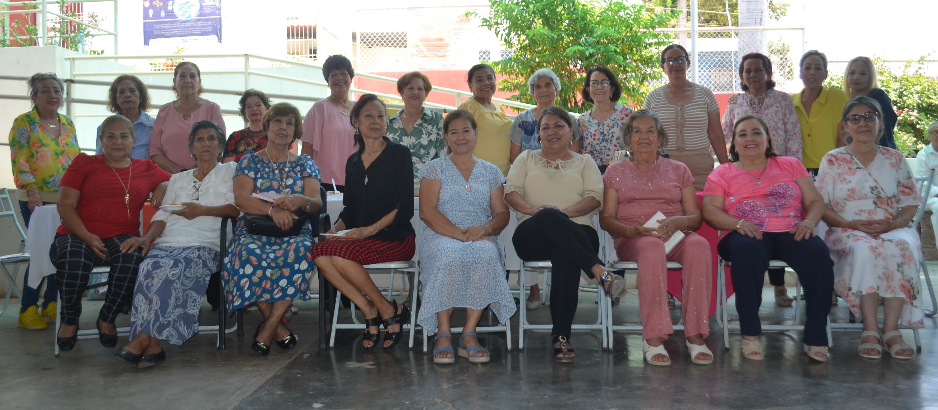 Imagen 8