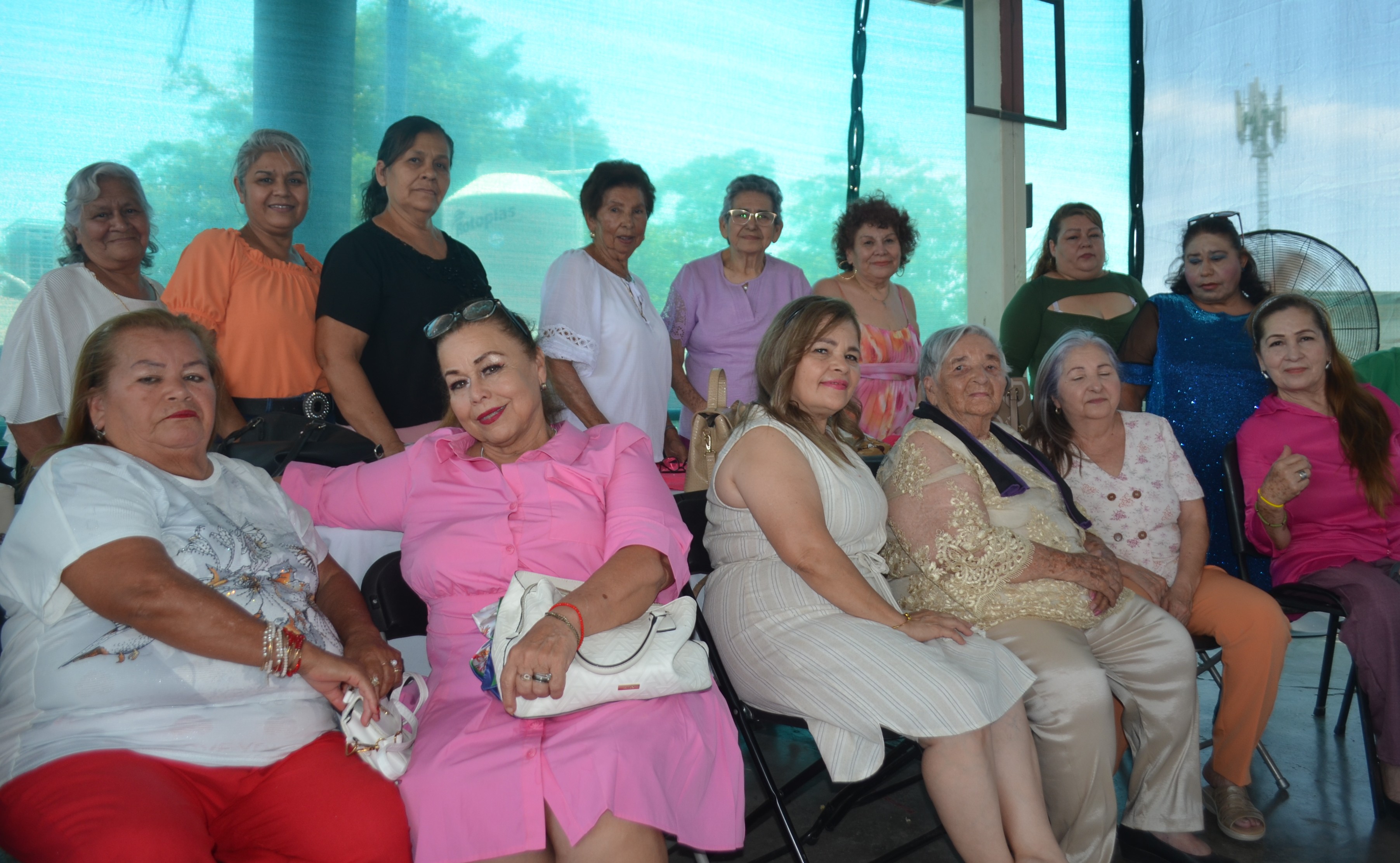 Imagen 2