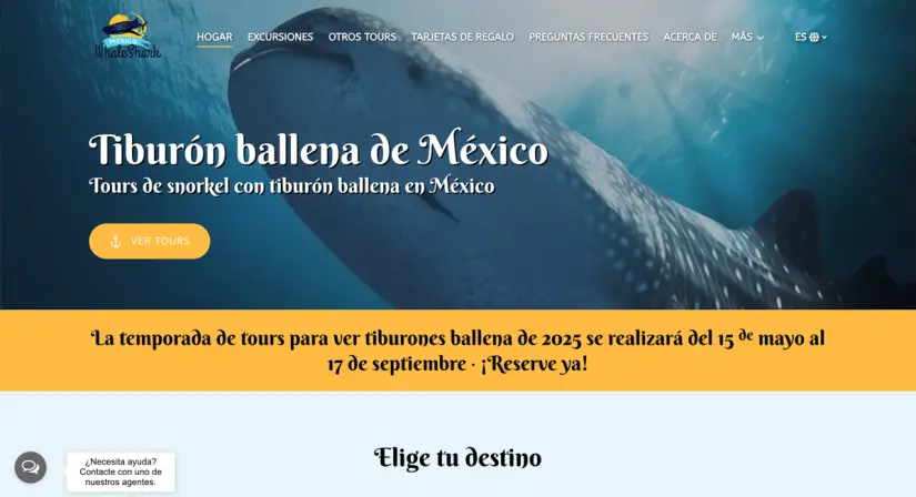 Página de Mexico Whale Shark. Foto: captura de pantalla.