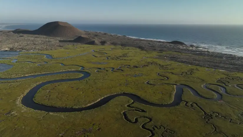 Tres pueblitos de Baja California que tienes que visitar en estas vacaciones de verano 2025 Los humedales de San Quintín te sorprenderán con su belleza natural. Foto: Cortesía