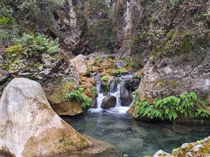 Parque La Estanzuela en Monterrey. Foto: Gobierno de Nuevo León