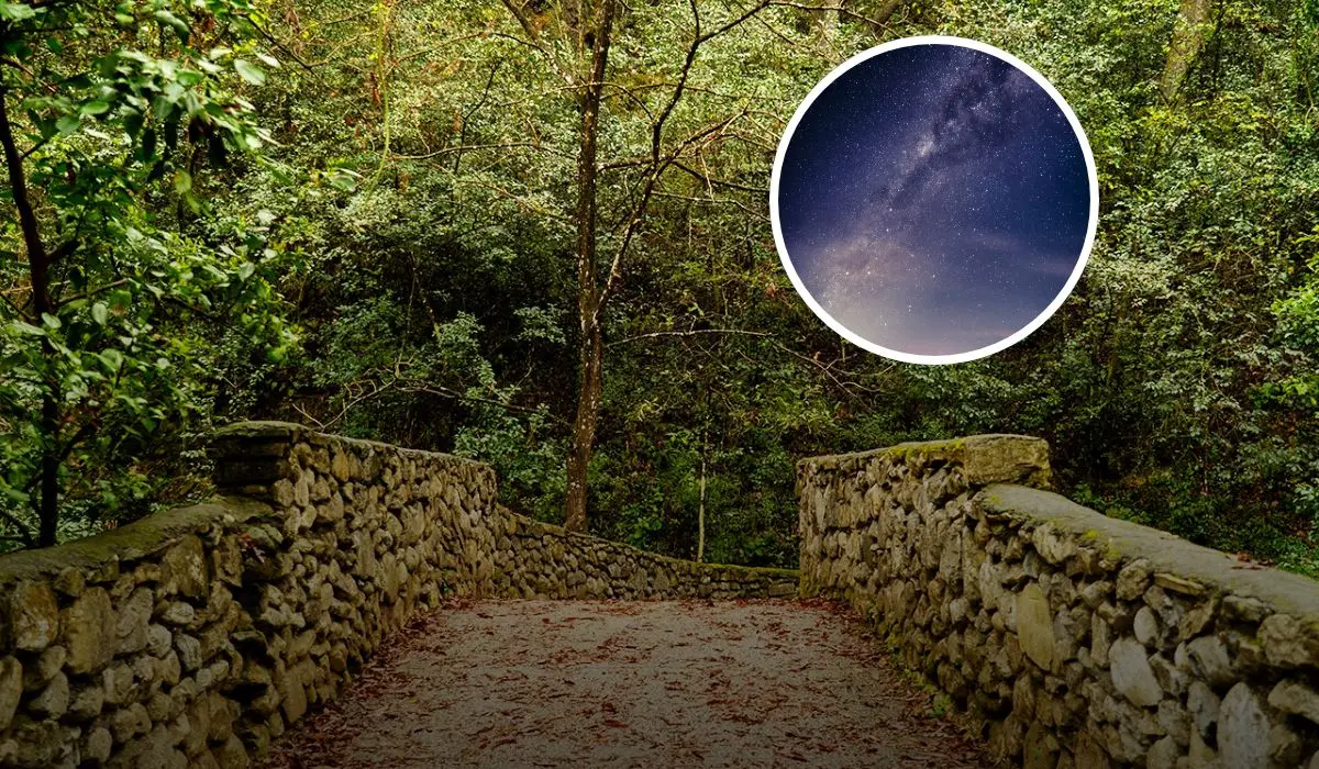 “Estanzuela Bajo las Estrellas” en el Parque La Estanzuela
