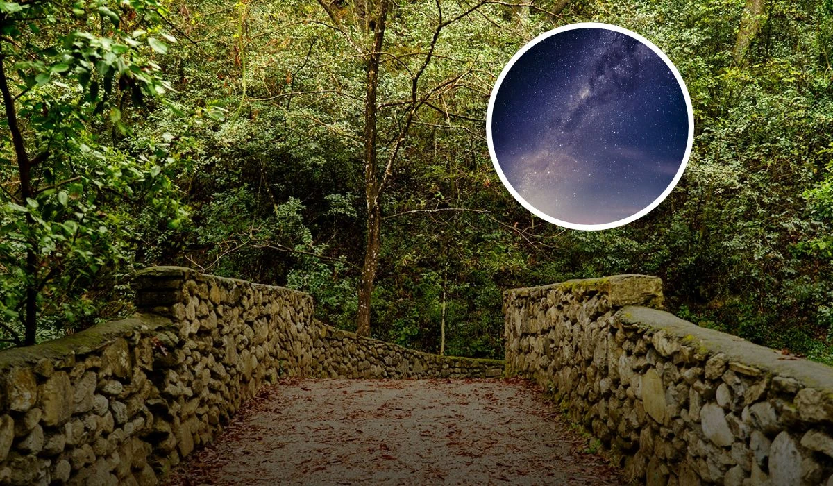 “Estanzuela Bajo las Estrellas” en el Parque La Estanzuela