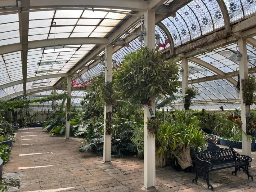imagen recuadro El invernadero del Jardín Botánico de Chapultepec es un espacio dedicado a la conservación de especies tropicales y exóticas en condiciones controladas.