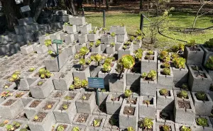 El Jardín Botánico de Chapultepec: un oasis verde en la ciudad