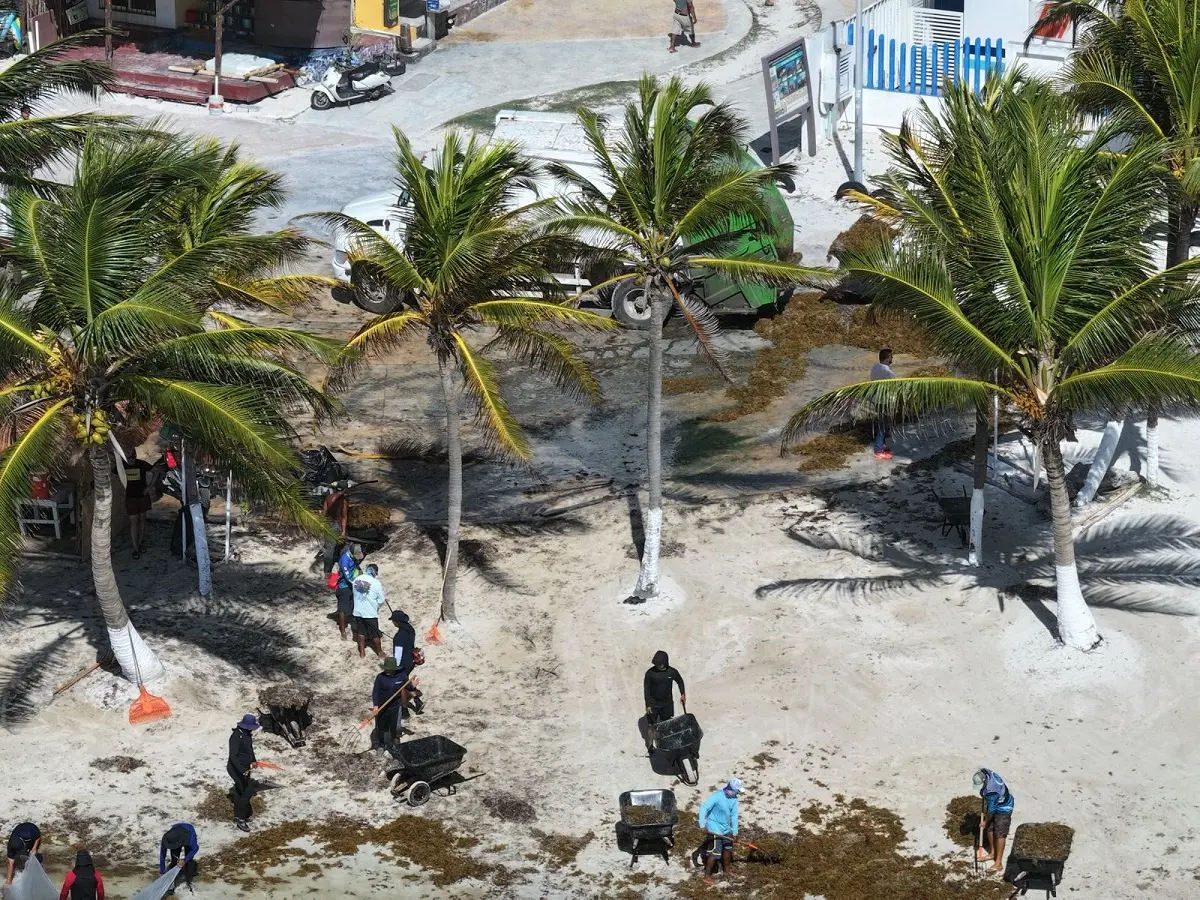 Se han desplegado buques sargaceros, embarcaciones menores y barreras de contención. Foto: Semar