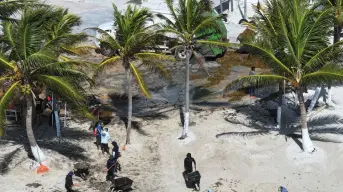 Marina amplia esfuerzos para combatir sargazo en el Caribe; se ha logrado reducción en zonas clave