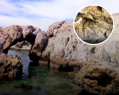 ¿Cómo fue que se formaron los arcos de roca en Playa Arquitos? Un tesoro oculto de Baja California Sur