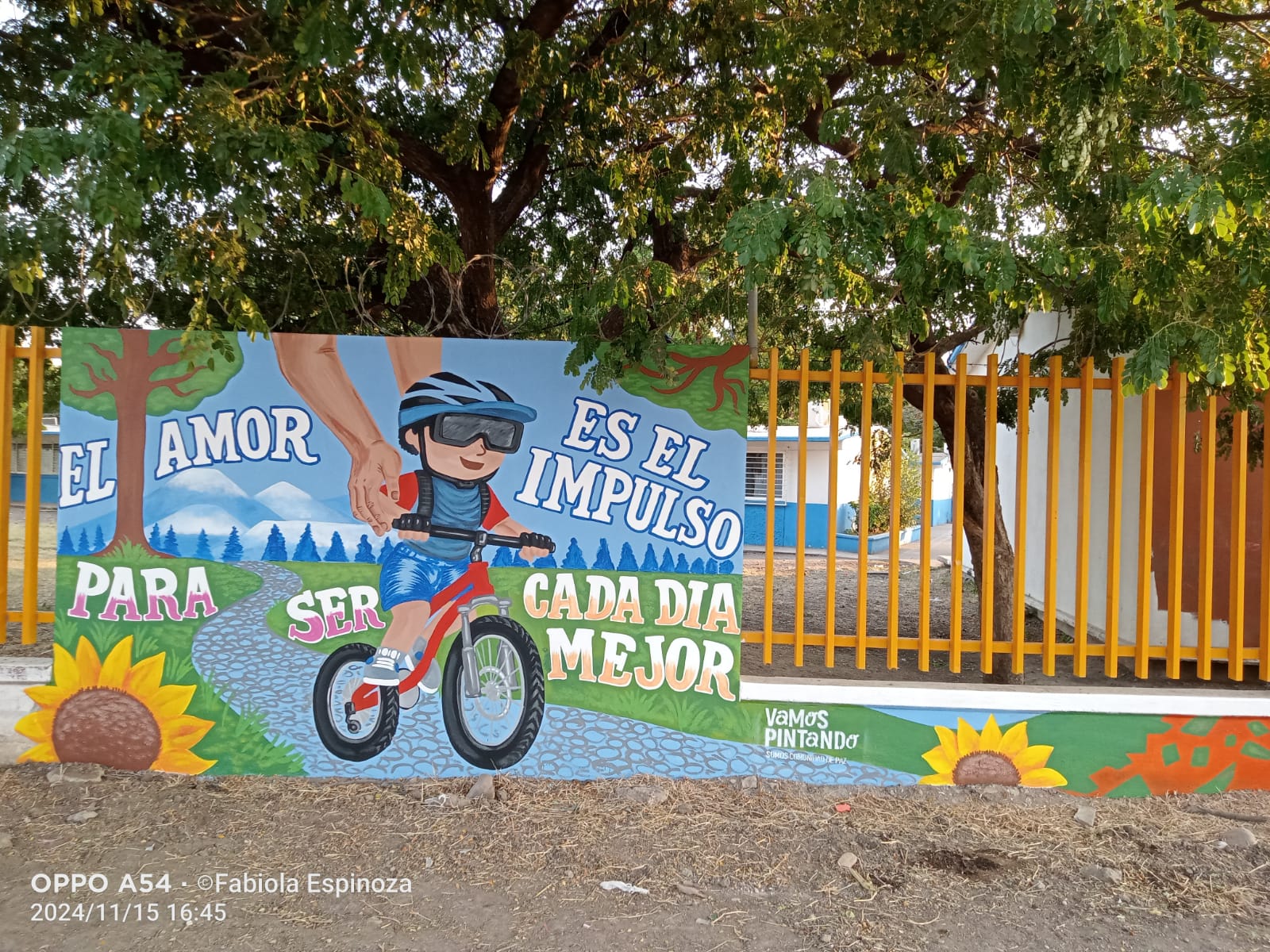 Imagen 13
