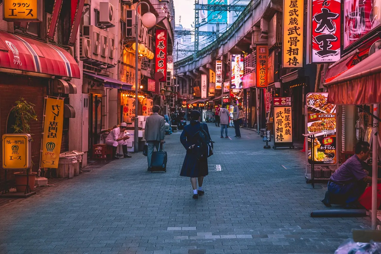 Mujer recorriendo las calles de Japón. Foto. Pixabay.