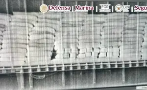 En Chiapas, elementos de seguridad decomisan más de una tonelada de cocaína; es un golpe de 274 mdp