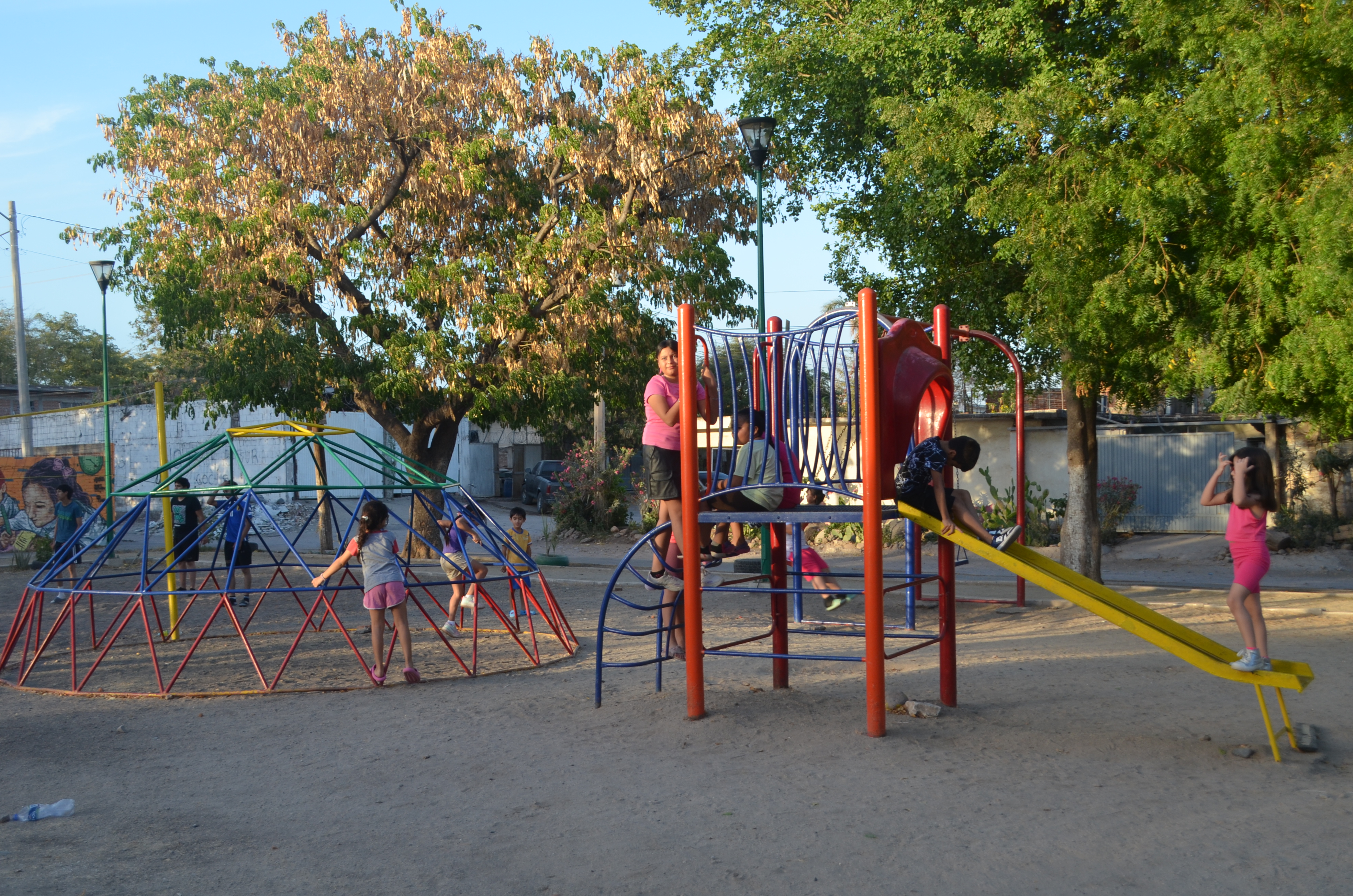 Imagen 13