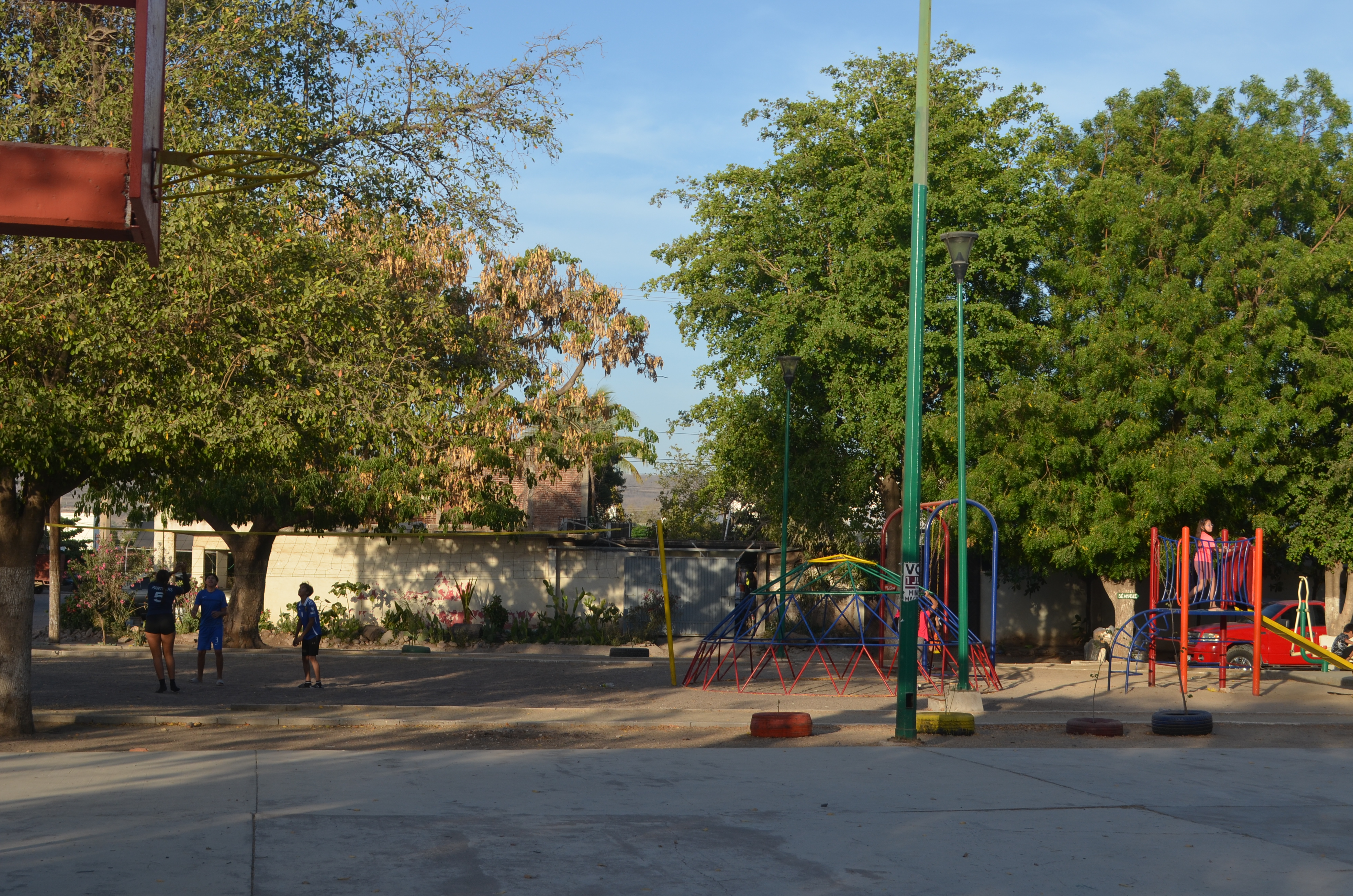 Imagen 8
