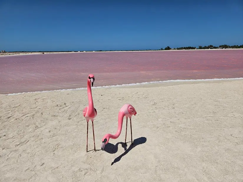 imagen recuadro Estatuillas de flamencos en Las Coloradas Foto: Tirpavisor