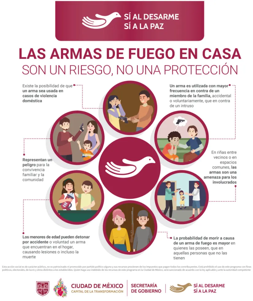 Las armas no son una protección, sino un riego. Foto: cortesía