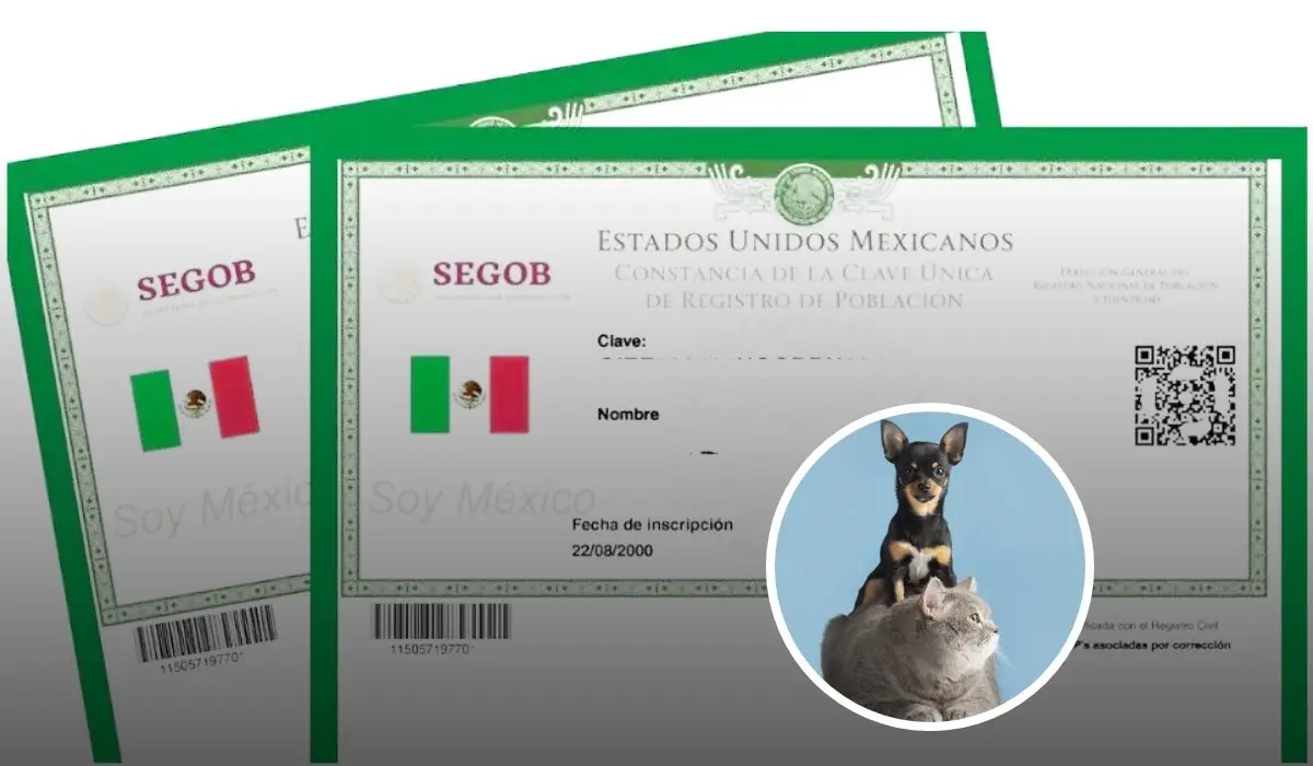 Nueva CURP para mascotas