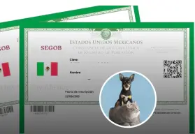 ¿Habrá multa por no tramitar la nueva CURP para tu mascota?