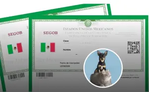¿Habrá multa por no tramitar la nueva CURP para tu mascota?