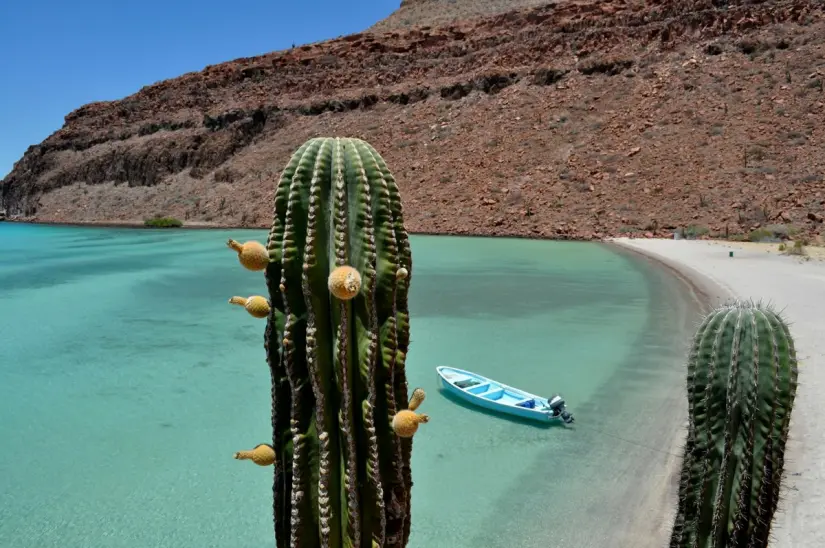 Atrévete a vivir una experiencia inolvidable en Baja California Sur. Foto: Unsplash. Atrévete a vivir una experiencia inolvidable en Baja California Sur. Foto: Unsplash.