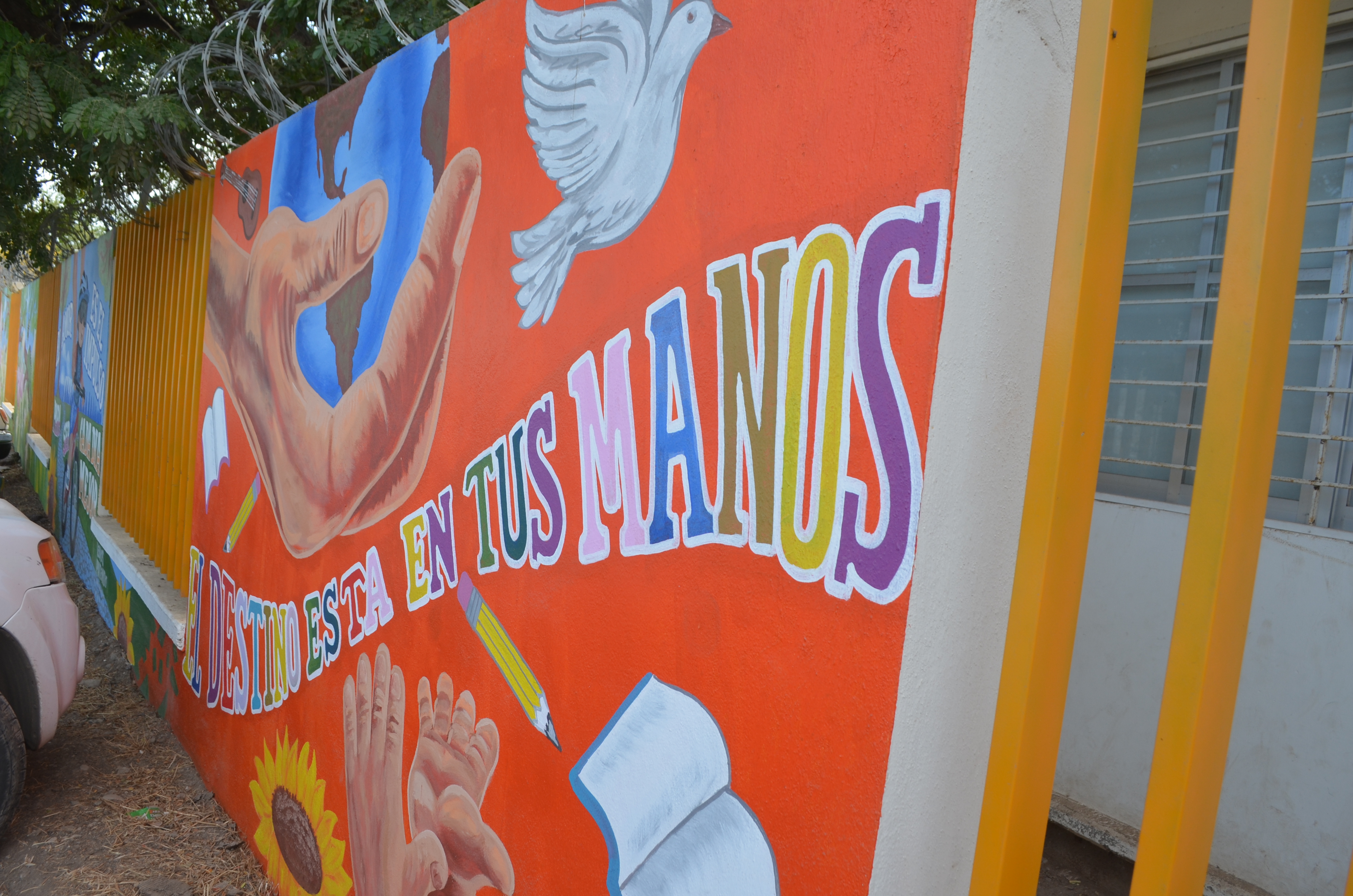 Imagen 9