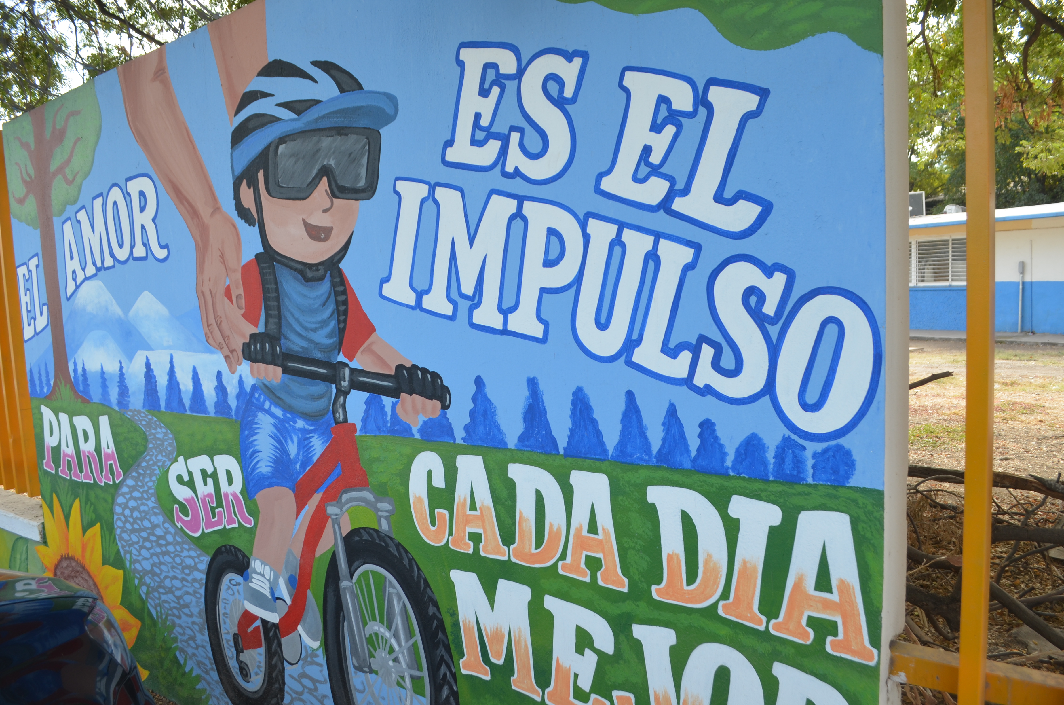 Imagen 11