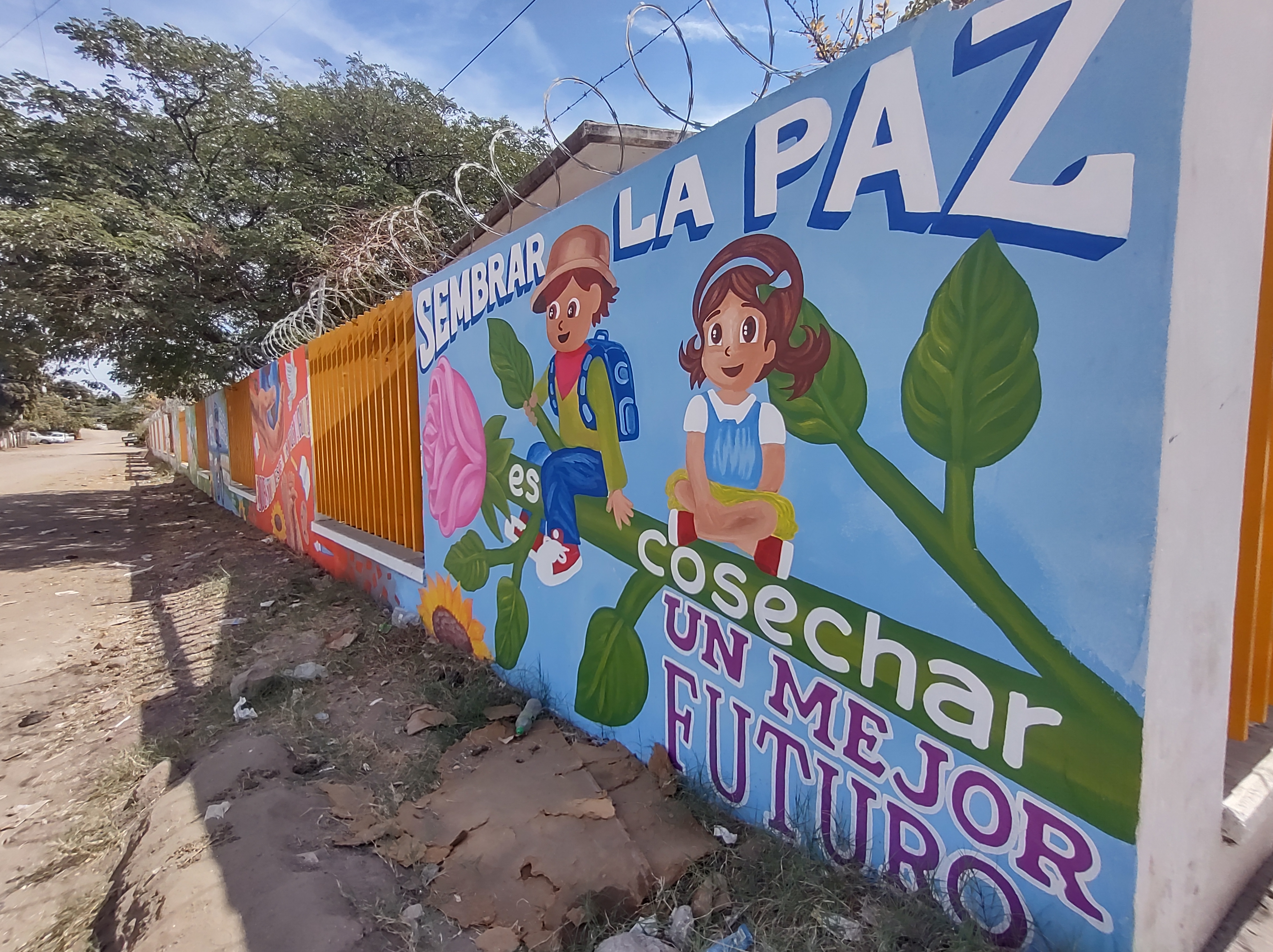 Imagen 25