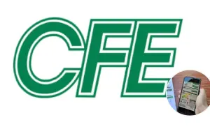 Olvídate del Papel: Te decimos como obtener tu Recibo de la CFE en el Correo