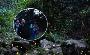 ¿En cuáles lugares del Edomex se puede disfrutar del avistamiento de luciérnagas 2025?