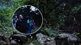 ¿En cuáles lugares del Edomex se puede disfrutar del avistamiento de luciérnagas 2025?