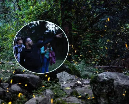 ¿En cuáles lugares del Edomex se puede disfrutar del avistamiento de luciérnagas 2025?