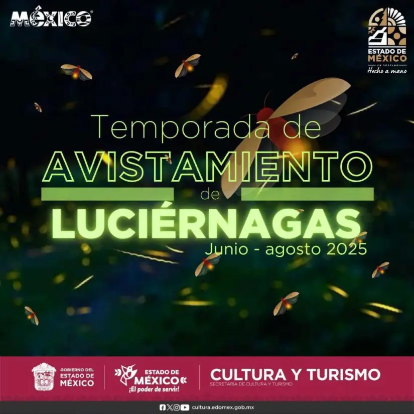 Temporada de avistamiento de luciérnagas. Foto Cortesía Temporada de avistamiento de luciérnagas. Foto Cortesía