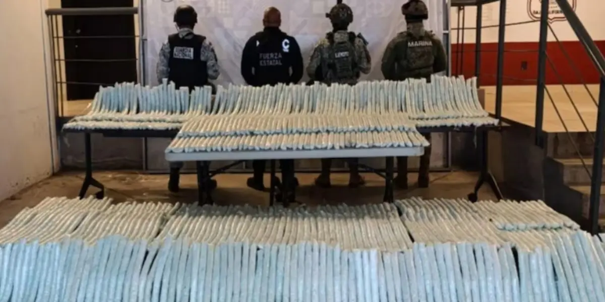 El cargamento de droga tiene un valor estimado en 79.9 millones de pesos. Foto: SSPC