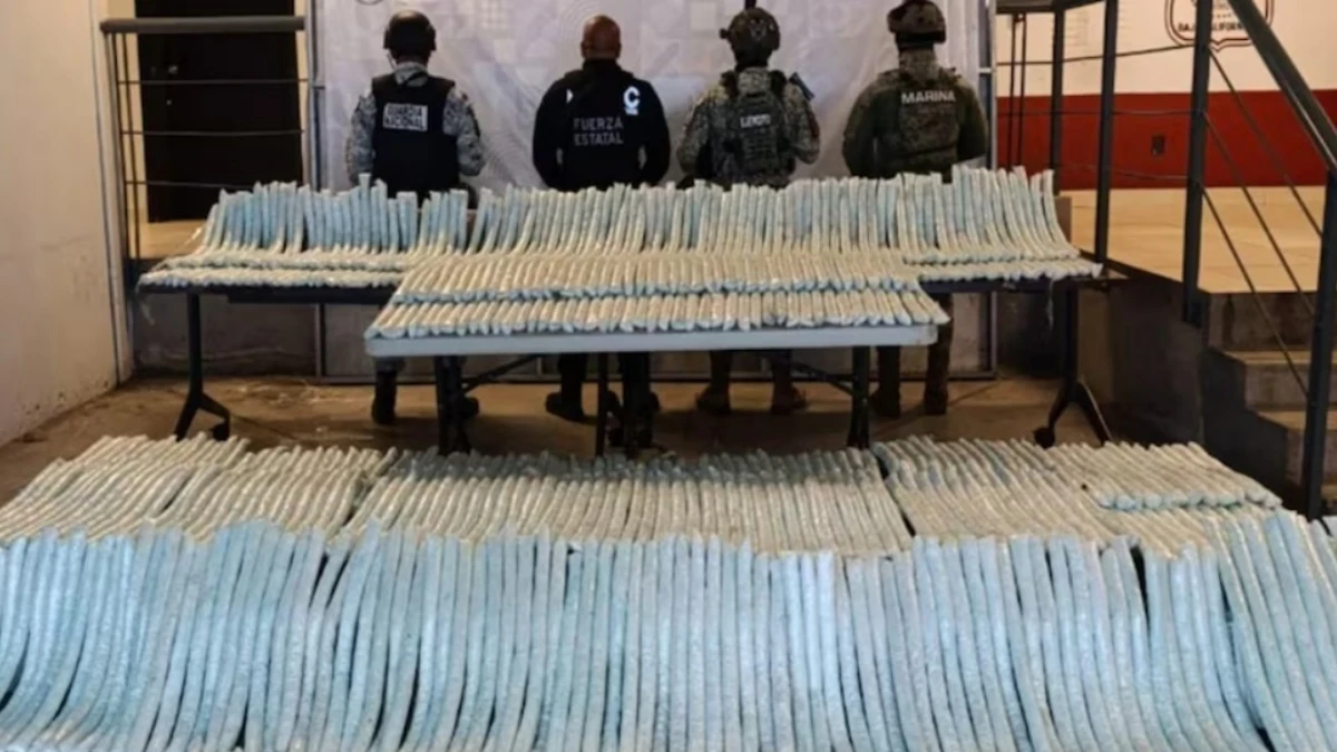El cargamento de droga tiene un valor estimado en 79.9 millones de pesos. Foto: SSPC