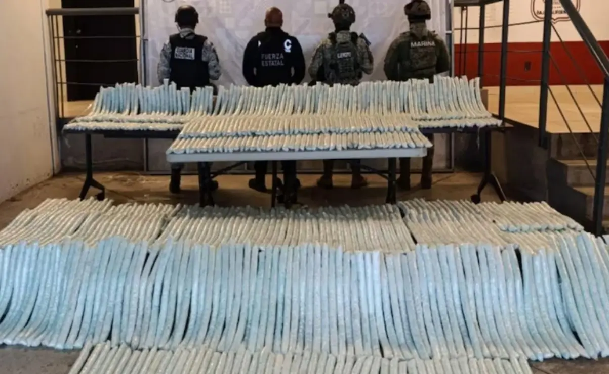 El cargamento de droga tiene un valor estimado en 79.9 millones de pesos. Foto: SSPC
