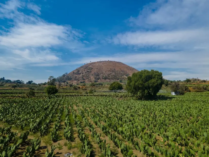 Las terrazas agrícolas son de gran importancia aún en la actualidad. Foto: Cortesía. Las terrazas agrícolas son de gran importancia aún en la actualidad. Foto: Cortesía.