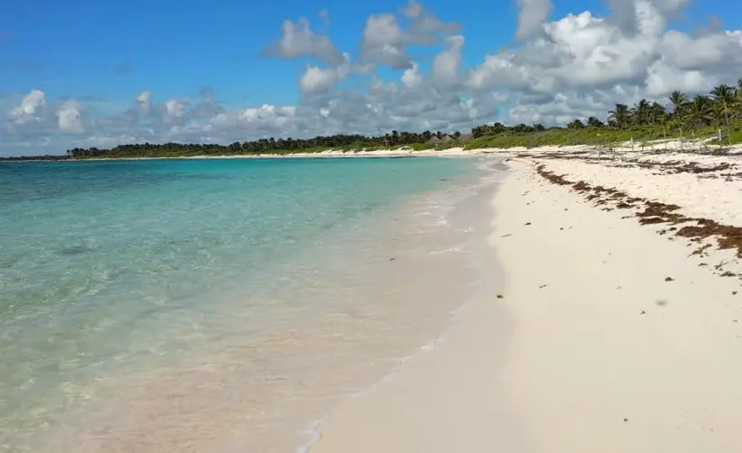 Descubre el Santuario de las Tortugas Marinas en Xcacel-Xcacelito. Foto: Portal Ambiental. Descubre el Santuario de las Tortugas Marinas en Xcacel-Xcacelito. Foto: Portal Ambiental.