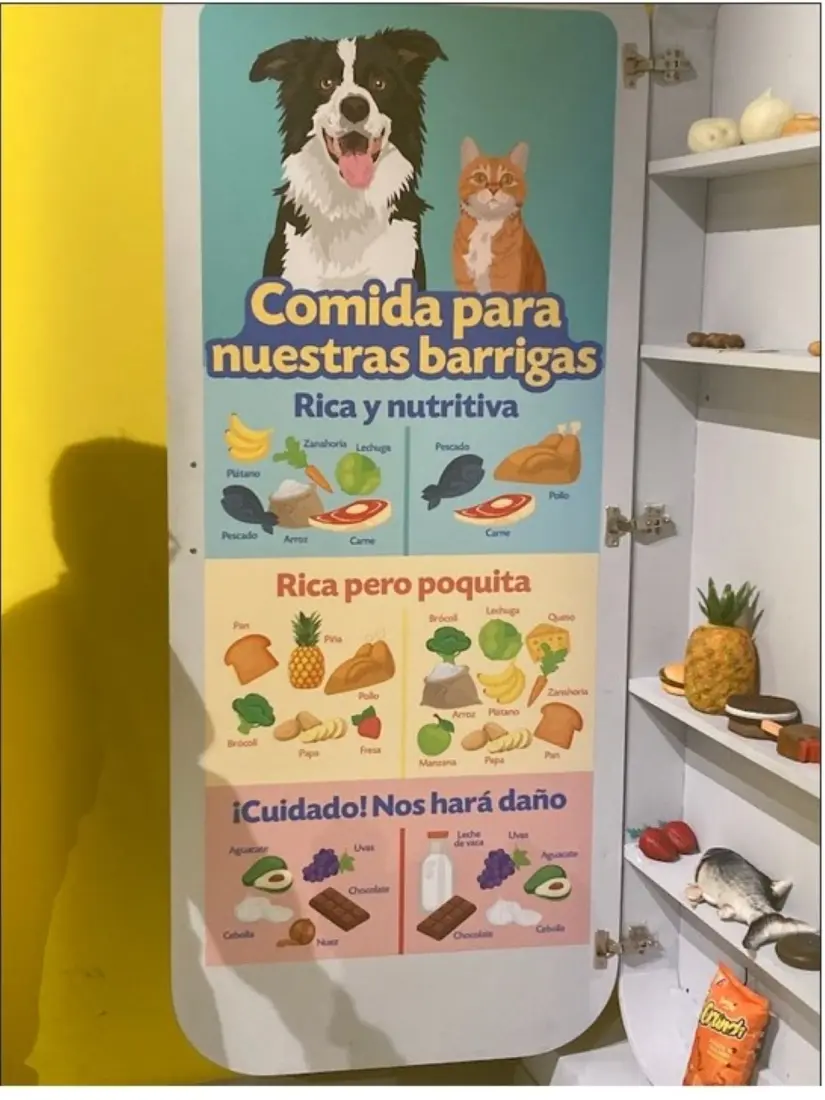 Alimentos para mascotas. Foto: Monserrath Lisette Díaz Alimentos para mascotas. Foto: Monserrath Lisette Díaz