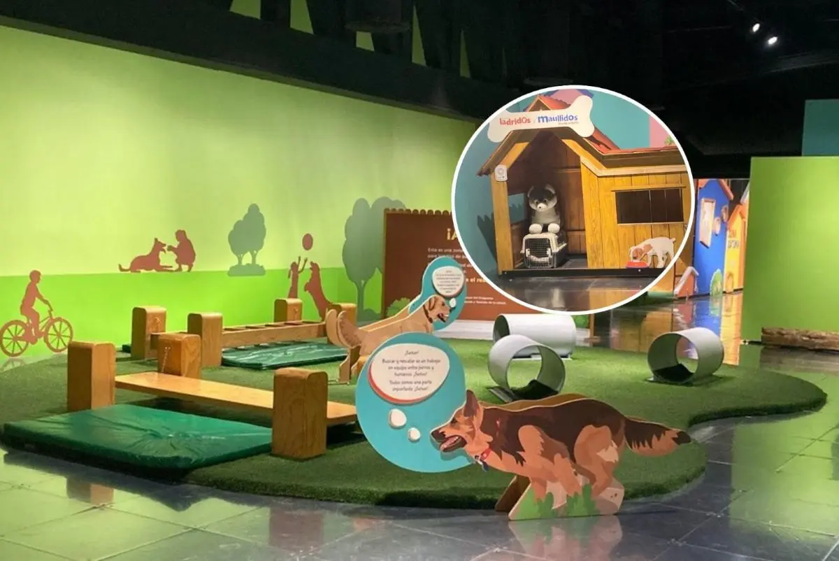 Exposición interactiva para conocer las maravillas de tener una mascota, en Toluca
