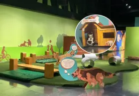 Exposición interactiva para conocer las maravillas de tener una mascota, en Toluca