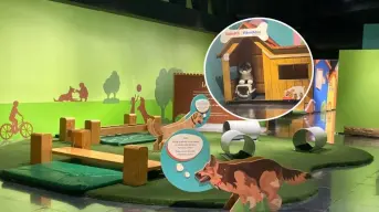 Exposición interactiva para conocer las maravillas de tener una mascota, en Toluca
