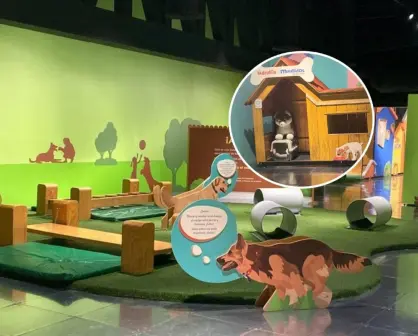 Exposición interactiva para conocer las maravillas de tener una mascota, en Toluca