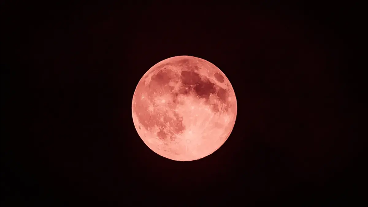 Disfruta de este espectáculo astronómico como lo es la Luna de Fresa 2025. Foto: Cortesía.