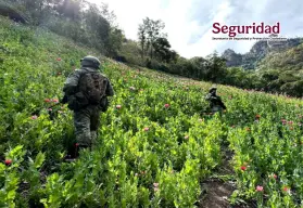Golpe al crimen en Sinaloa: decomisos millonarios y laboratorios desmantelados