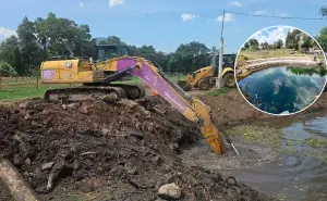 Rescatan el Lago de Pátzcuaro: descubren 5 manantiales y restauran más de 300 hectáreas