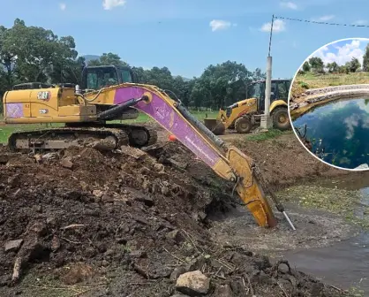 Rescatan el Lago de Pátzcuaro: descubren 5 manantiales y restauran más de 300 hectáreas