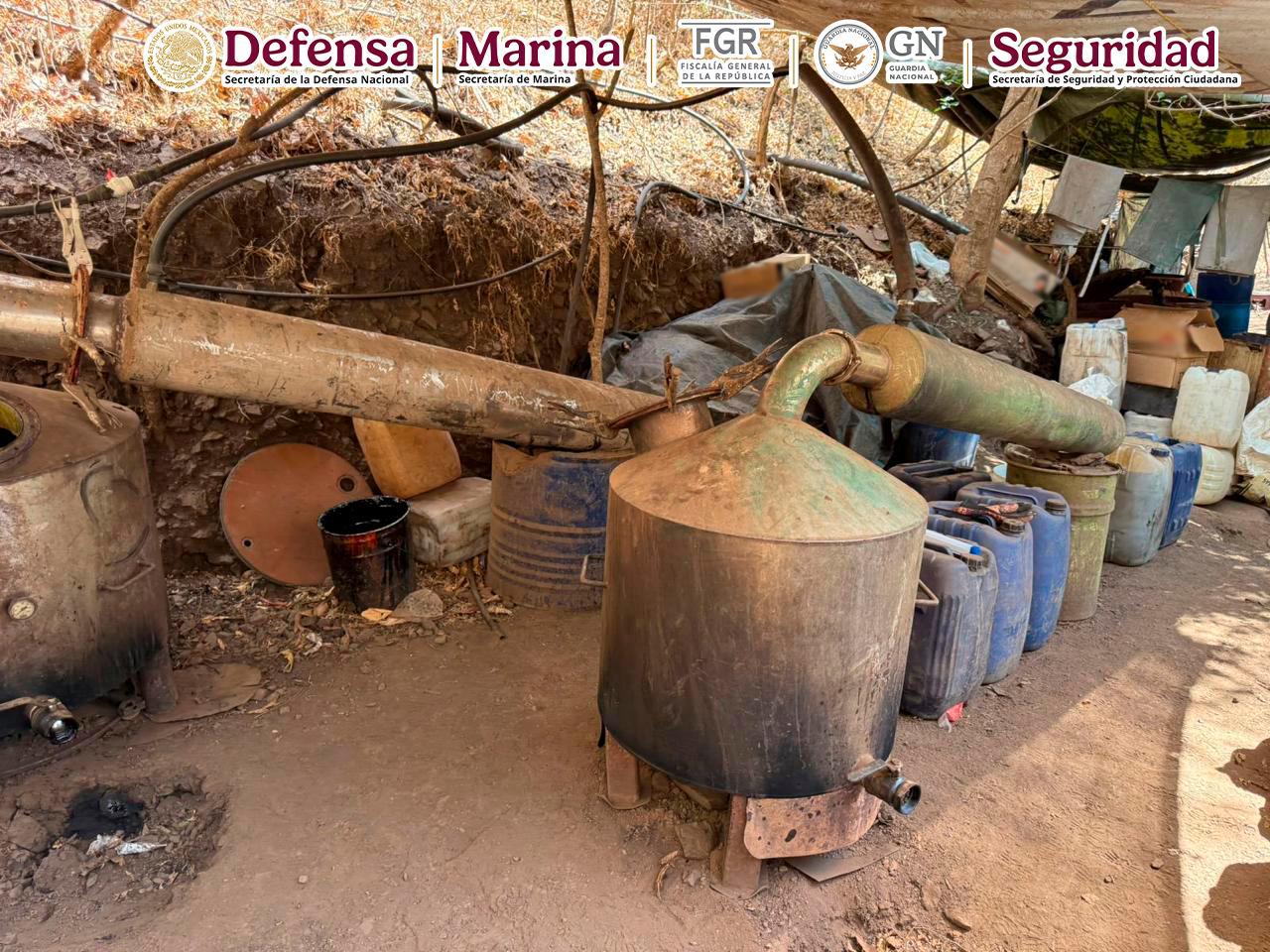 Imagen 2