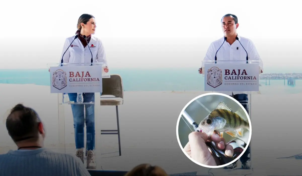 Un apoyo que beneficia a los pescadores deportivos con el fin de sostener dicha actividad en Baja California Foto: Marina Del Pilar