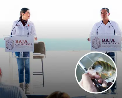 ¡Qué buena noticia! Gobierno de Baja California destinan más de $60 millones de pesos en impulsar la pesca y acuicultura