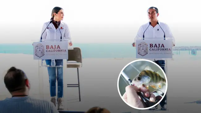 Un apoyo que beneficia a los pescadores deportivos con el fin de sostener dicha actividad en Baja California Foto: Marina Del Pilar