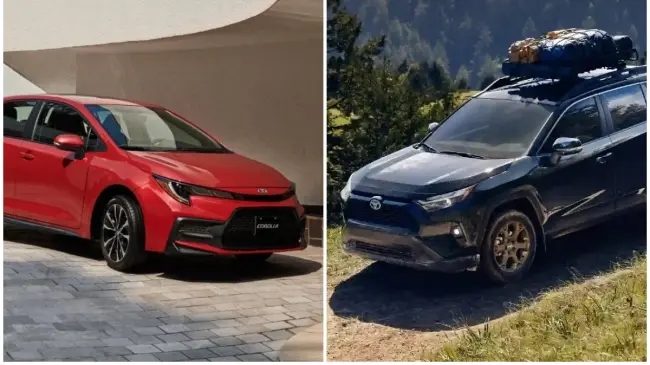 Ambos vehículos destacan por la calidad de Toyota como respaldo.